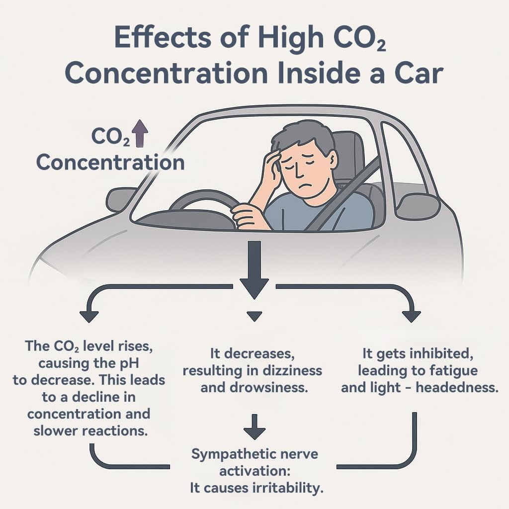 Monitor CO2 per Auto Ricaricabile a Prato - immagine 2