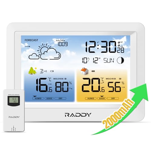 Raddy WM6 Stazione Meteorologica Wireless con Sensore