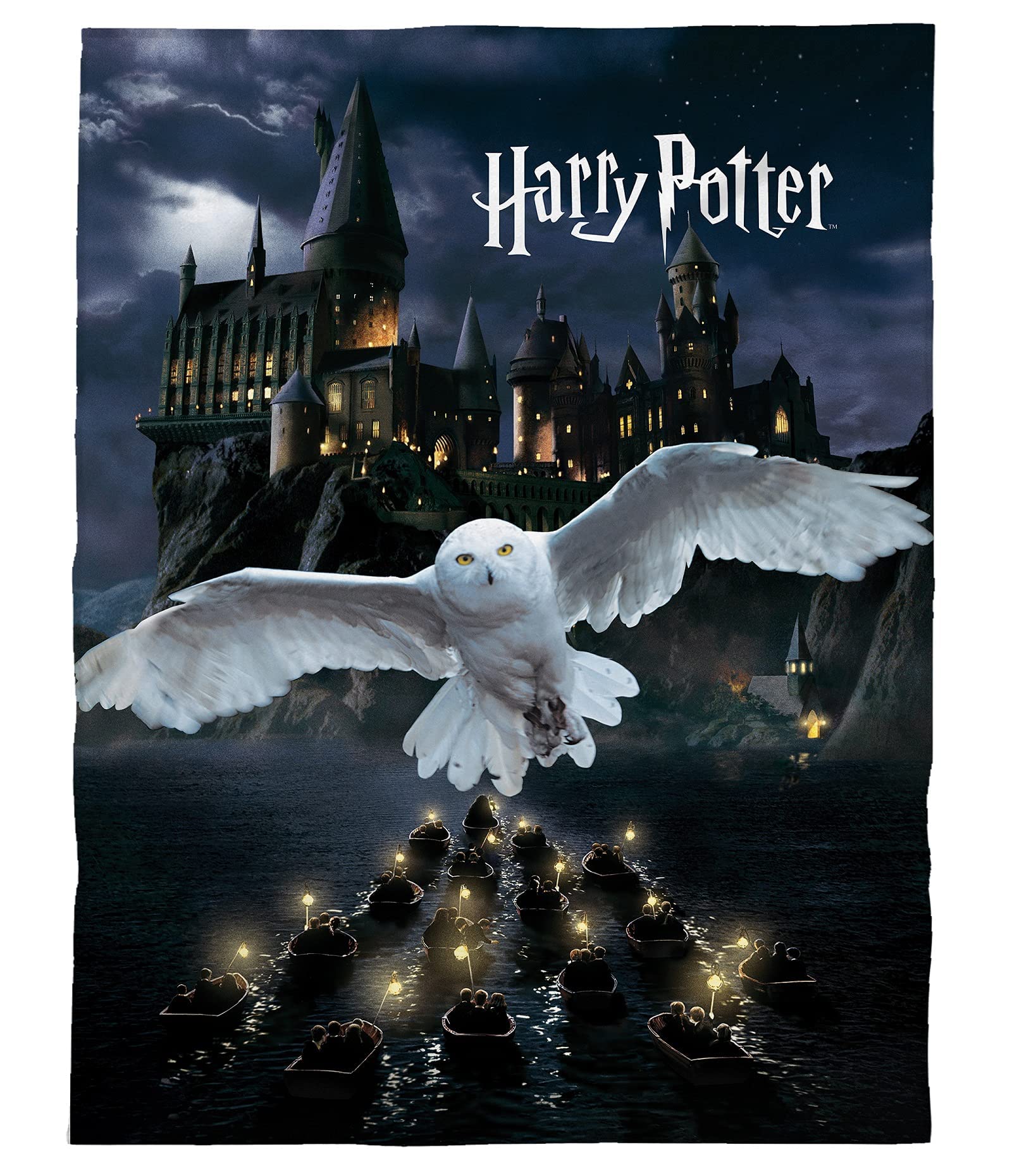 Coperta in Pile Harry Potter Grifondoro 150x200 cm, Nera