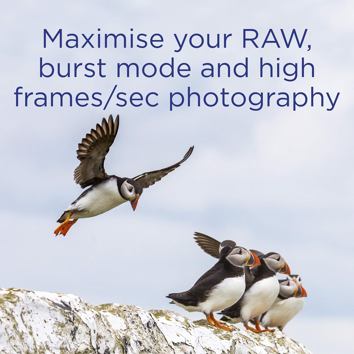 Integral Scheda Memoria UltimaPro CompactFlash 256 GB - immagine 4