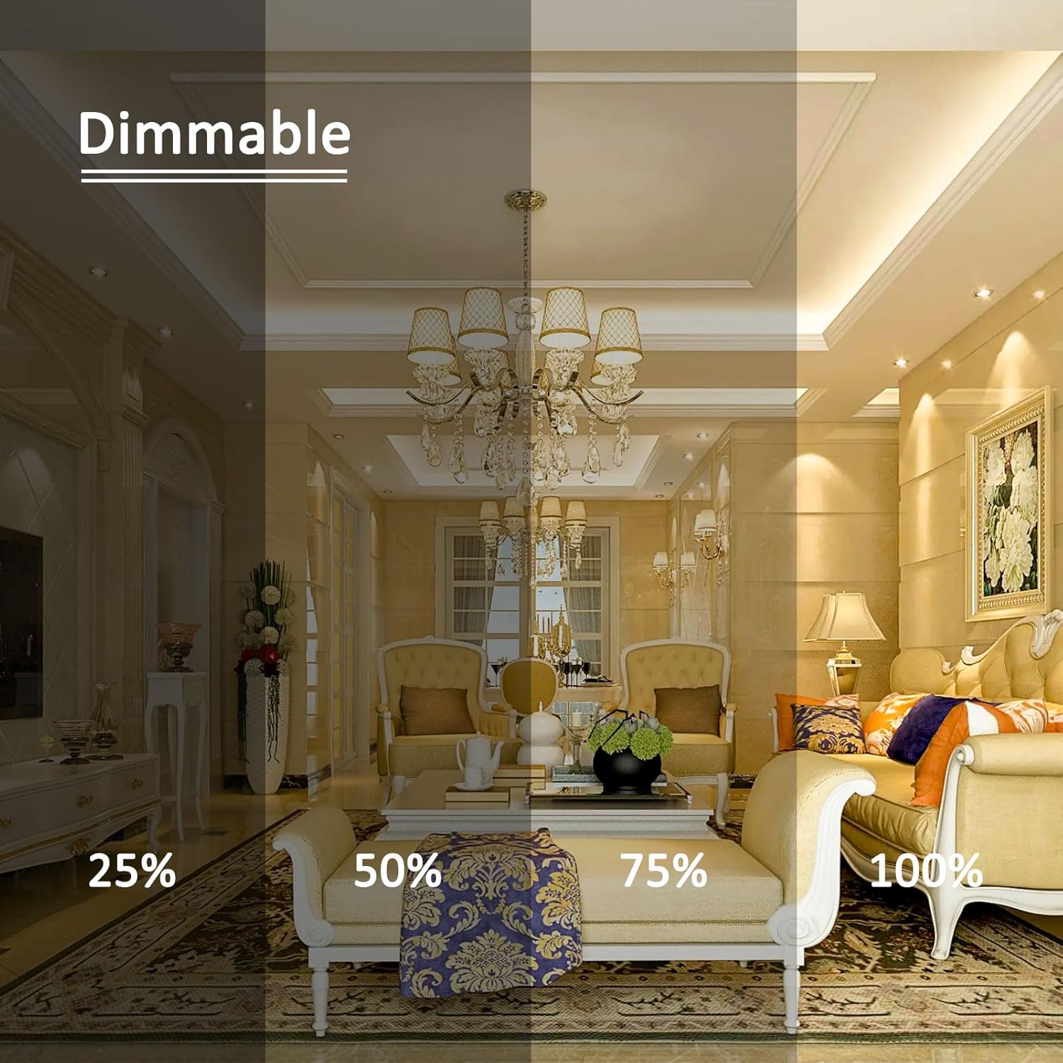 Lampadina Alogena G6.35 50W Dimmerabile 12V (12 Pezzi) - immagine 4