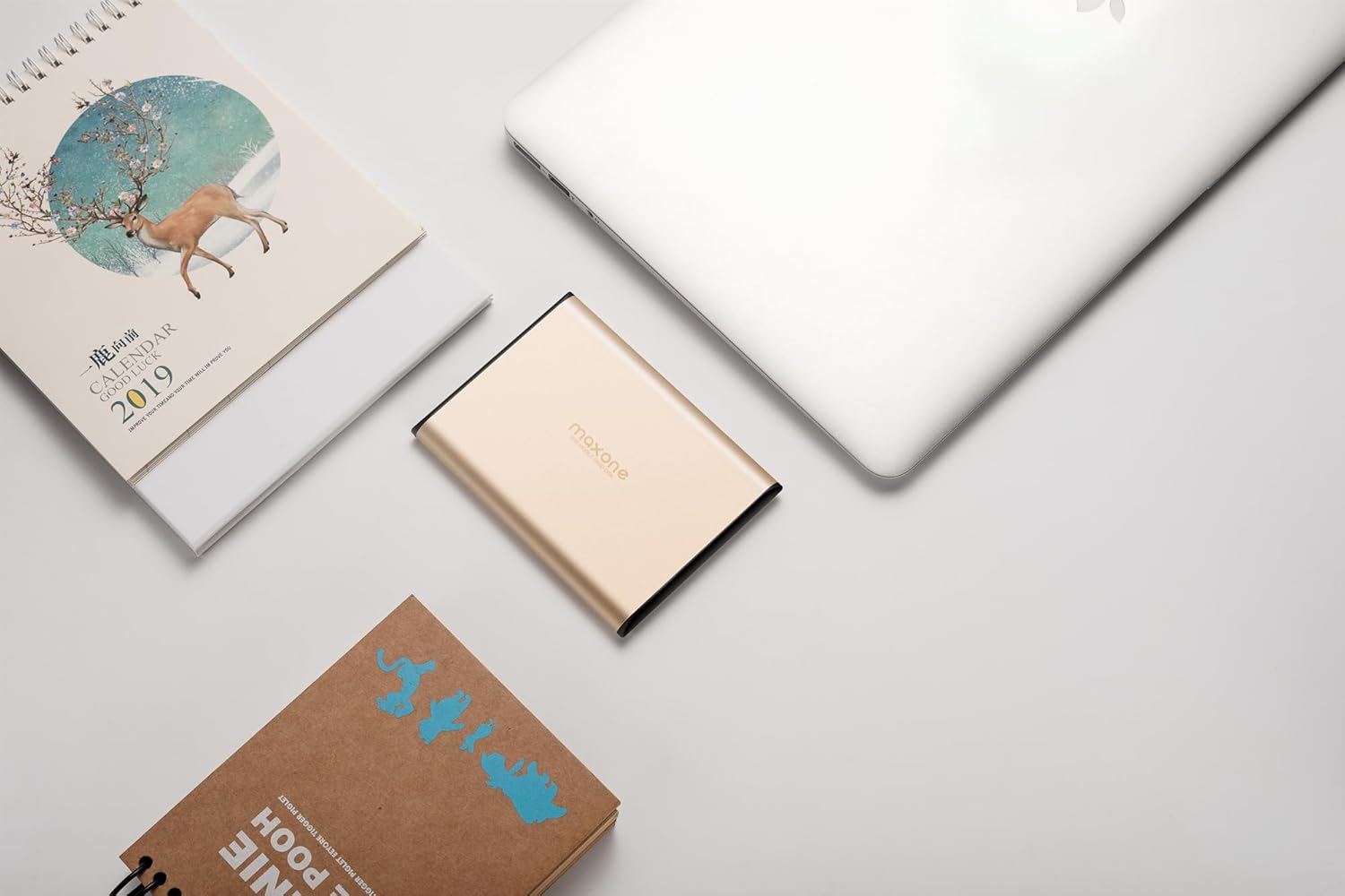 Hard Disk Esterno 160GB USB 3.0, Gold - immagine 2