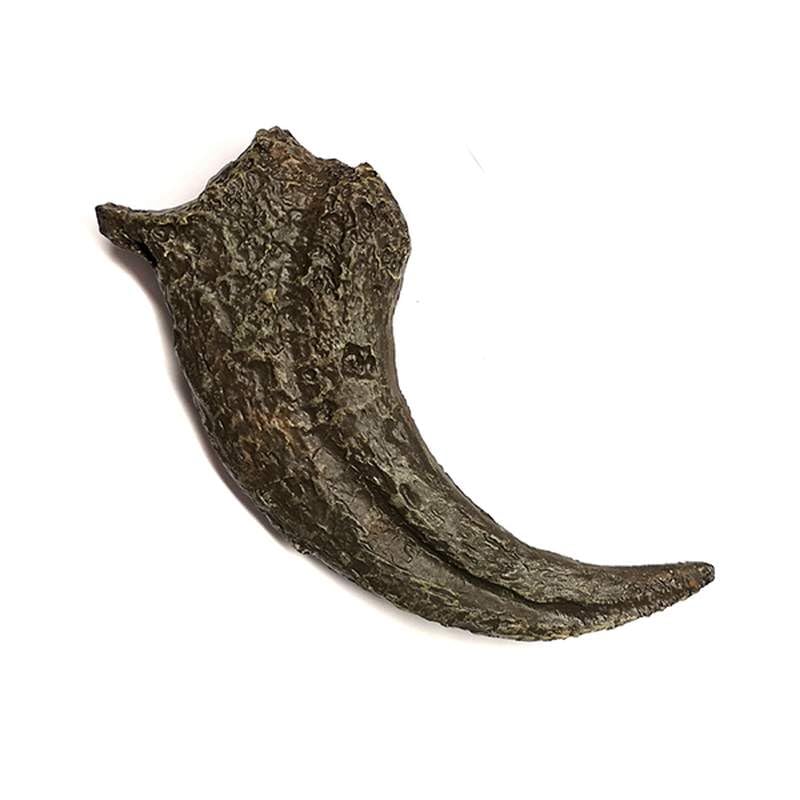 10/30x Anelli di Legno Non Fini Cerchi di Anello di Legno Liscio Per