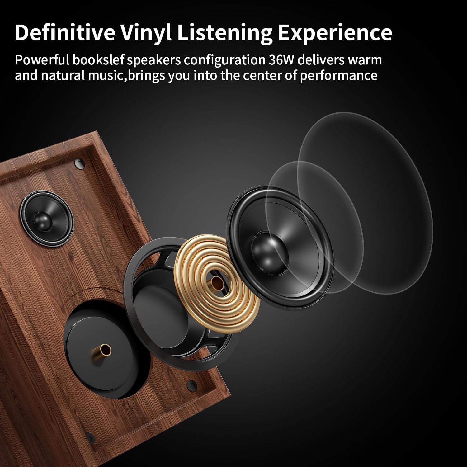 HiFi - Giradischi Bluetooth USB con Altoparlante - immagine 6