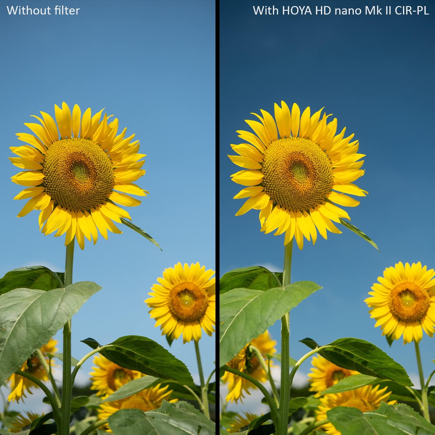 HOYA Circular Polarizing filter HD Nano MkII ø52mm - immagine 6