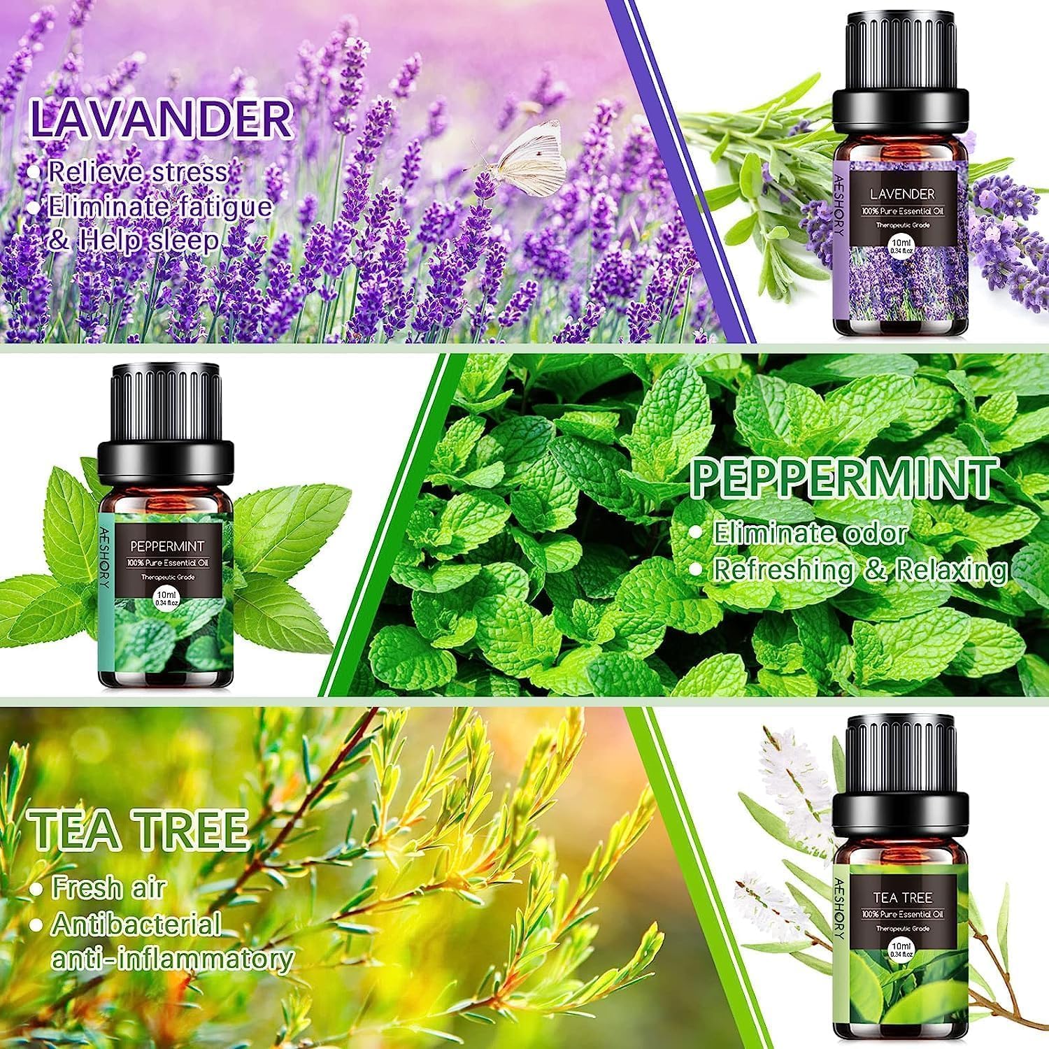 Aeshory Set di Oli Essenziali Puri 6 x 10ML - immagine 2