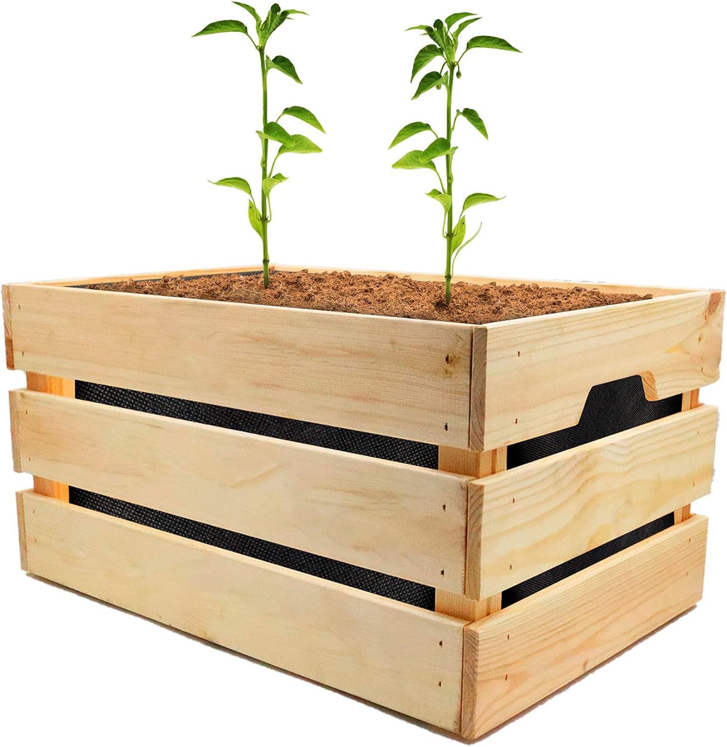 Kit cultivo - immagine 3