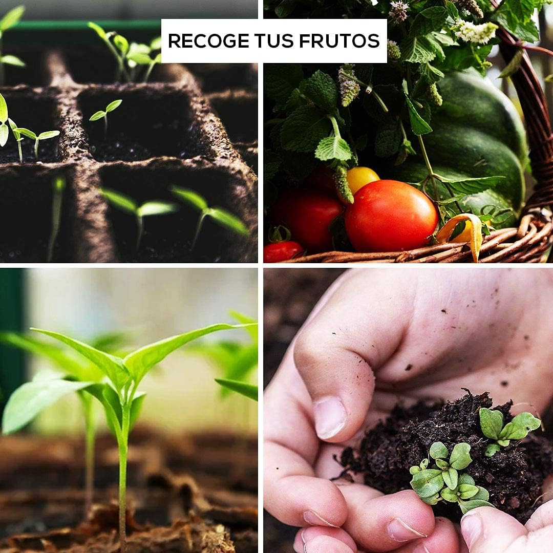 Kit cultivo - immagine 6