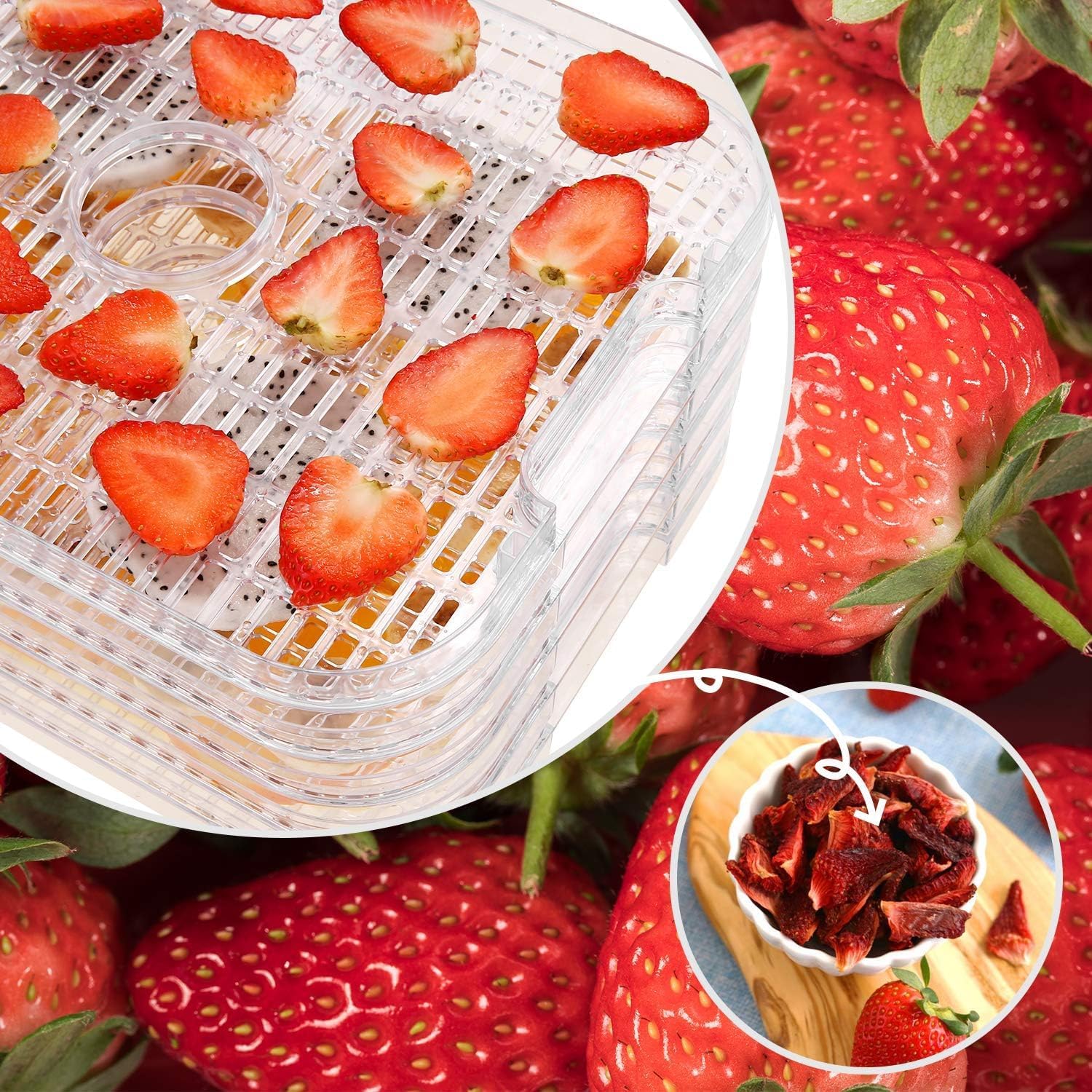 Essiccatore Alimentare 400W con Display LCD - immagine 3