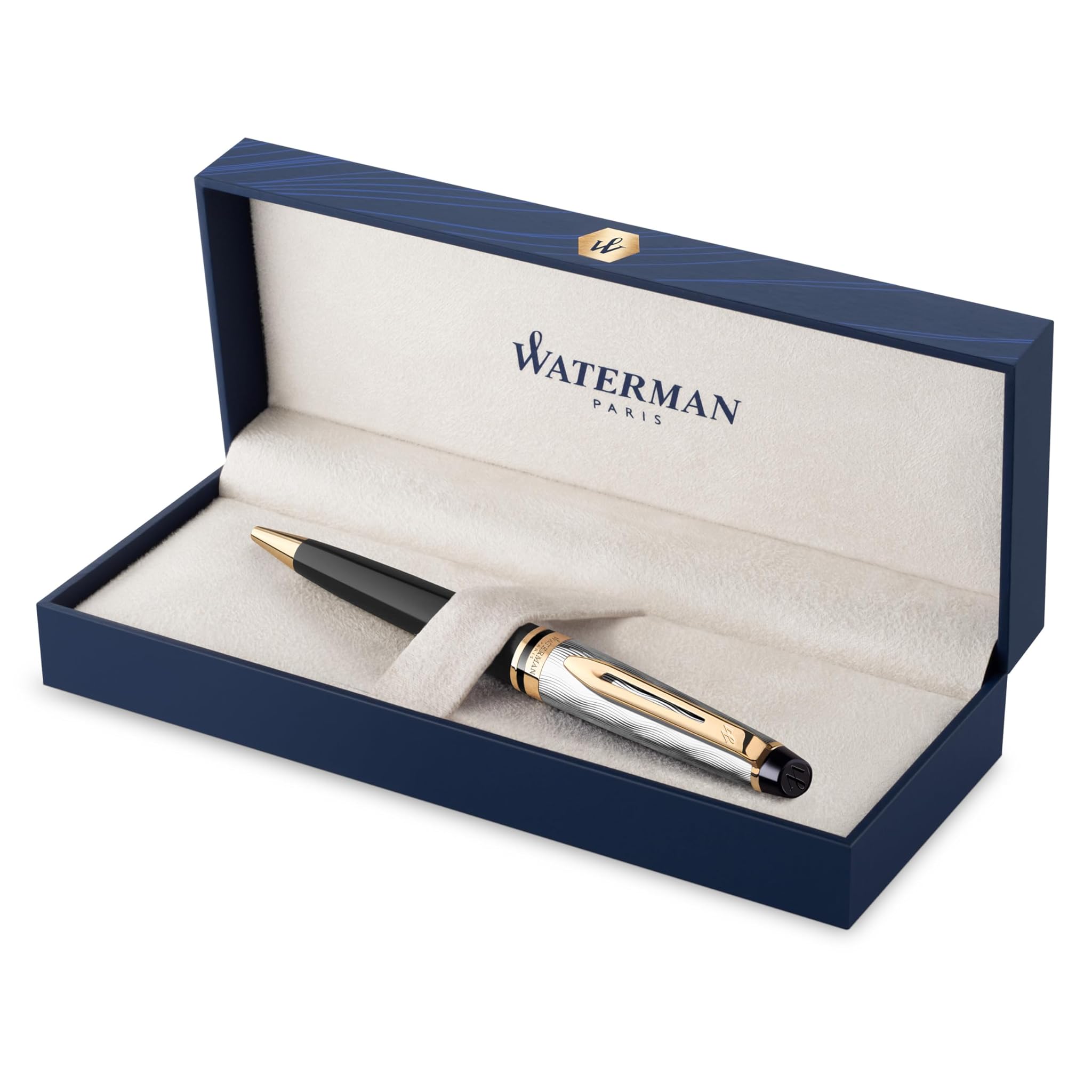 Waterman Expert Penna a Sfera Nera e Metallo