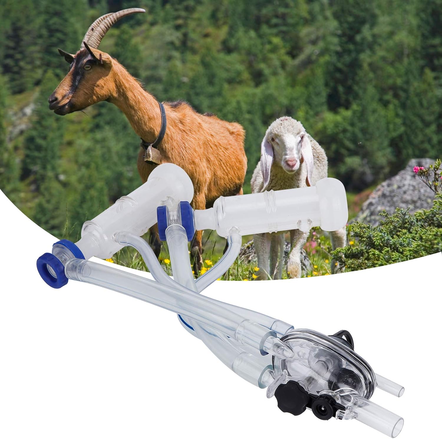 Kit Artigli Mungitrice per Pecore e Capre - immagine 2