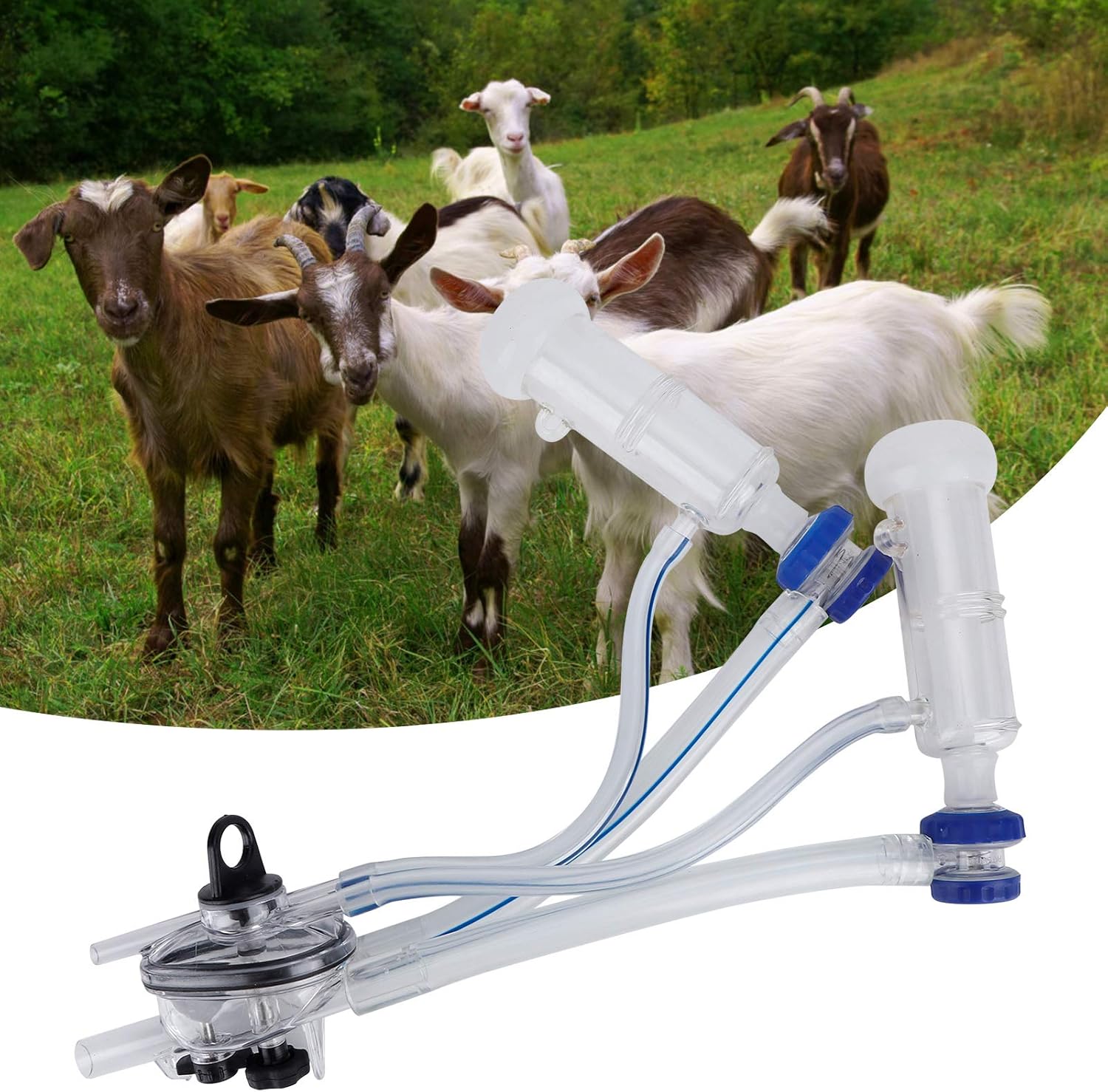 Kit Artigli Mungitrice per Pecore e Capre - immagine 5