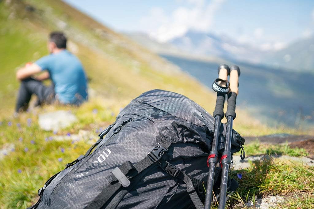 Steinwood Bastoncini da Trekking in Carbonio - immagine 4