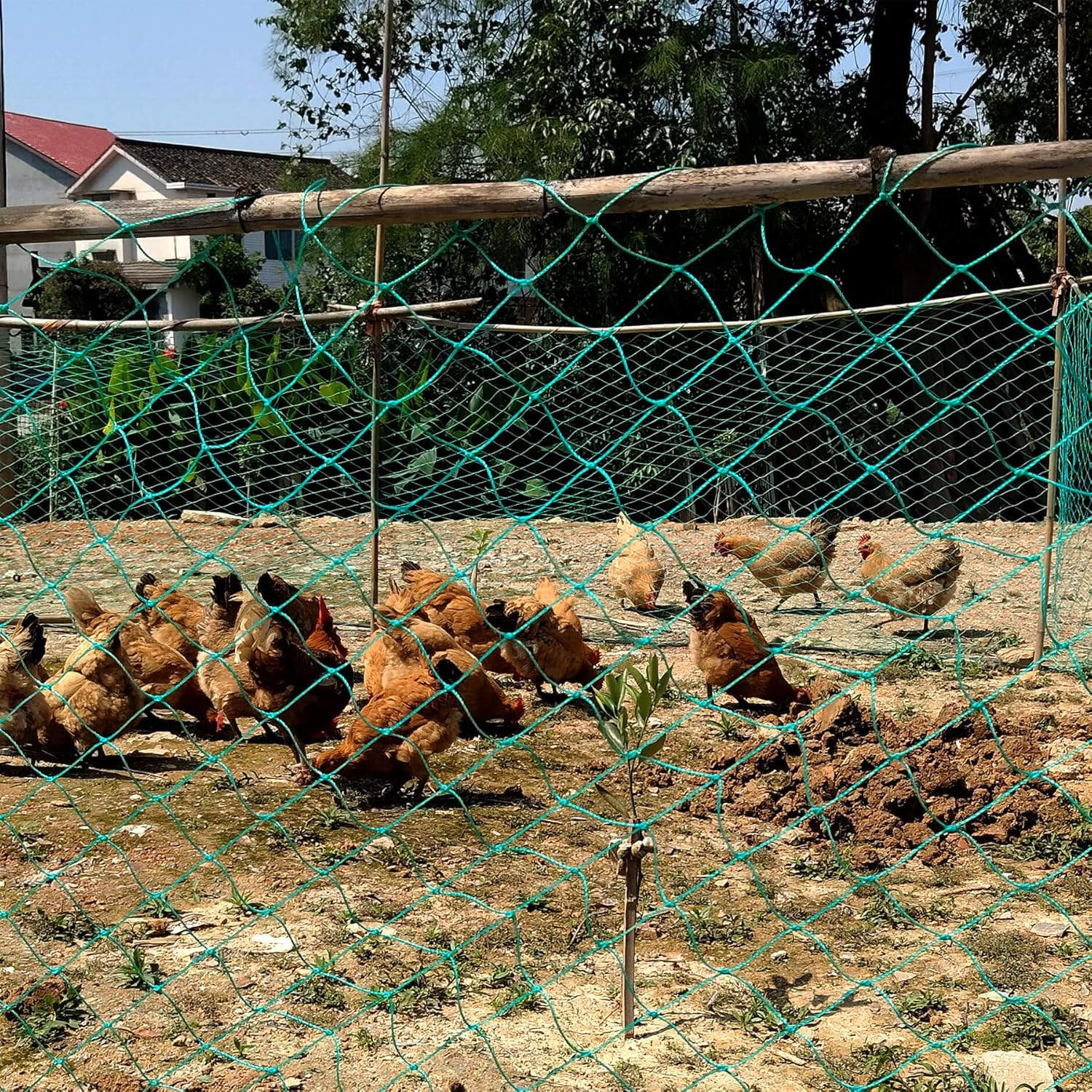 Rete per Pollo 1,5m x 25m, Maglie Grosse 5cm - immagine 3