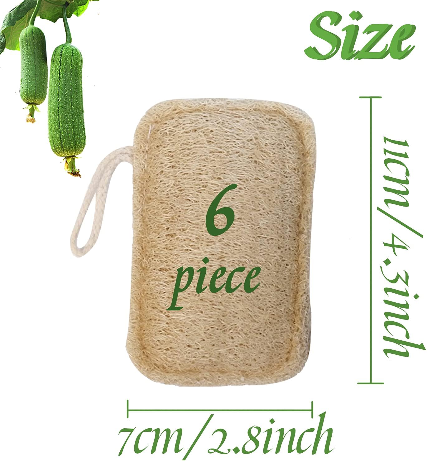 Spugna di Luffa Organica 6 Pezzi - immagine 2