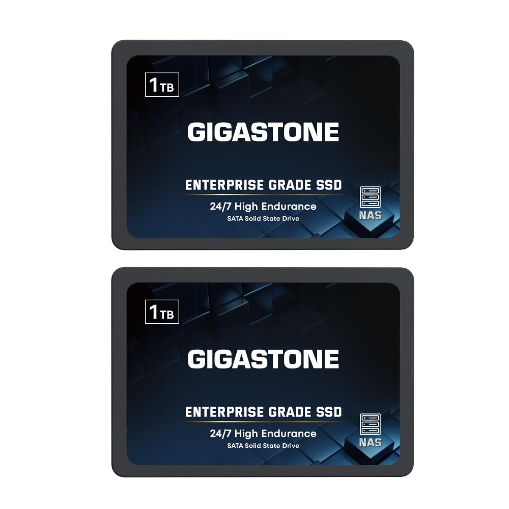 Gigastone Enterprise SSD 1TB NAS Cache (set da 2)