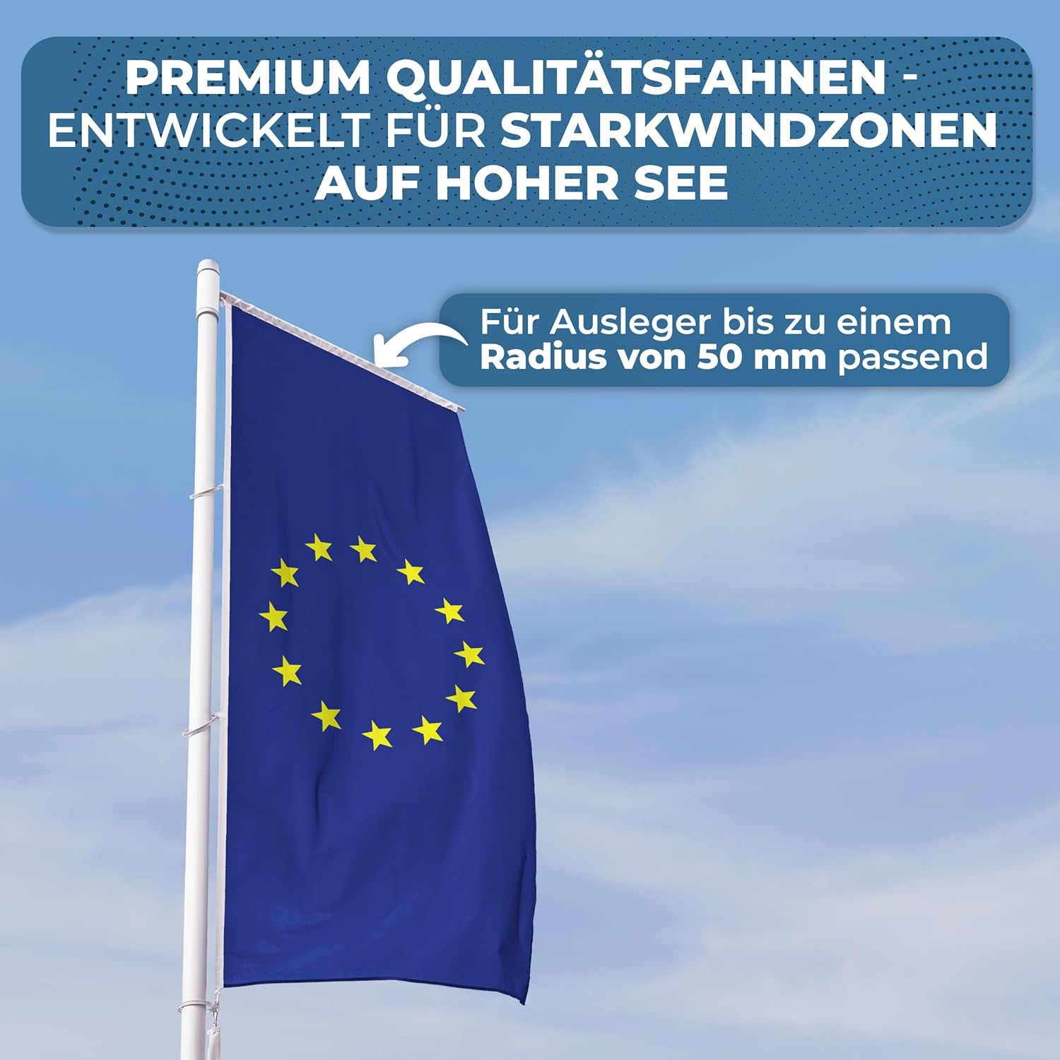 Fbs Bandiera Europea di Alta Qualità 155 g/m - immagine 5