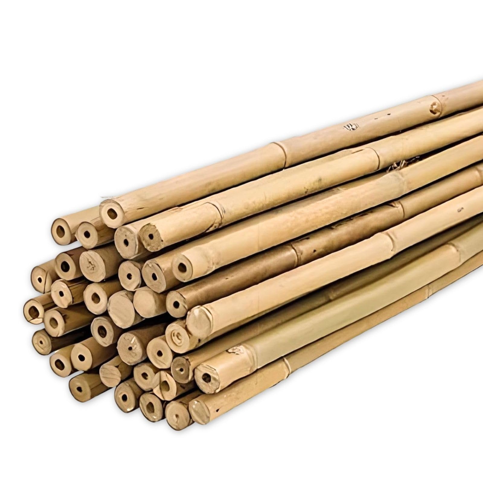 Plantawa Canne di Bambù 90 cm 25 Pezzi Ø 10-12 mm
