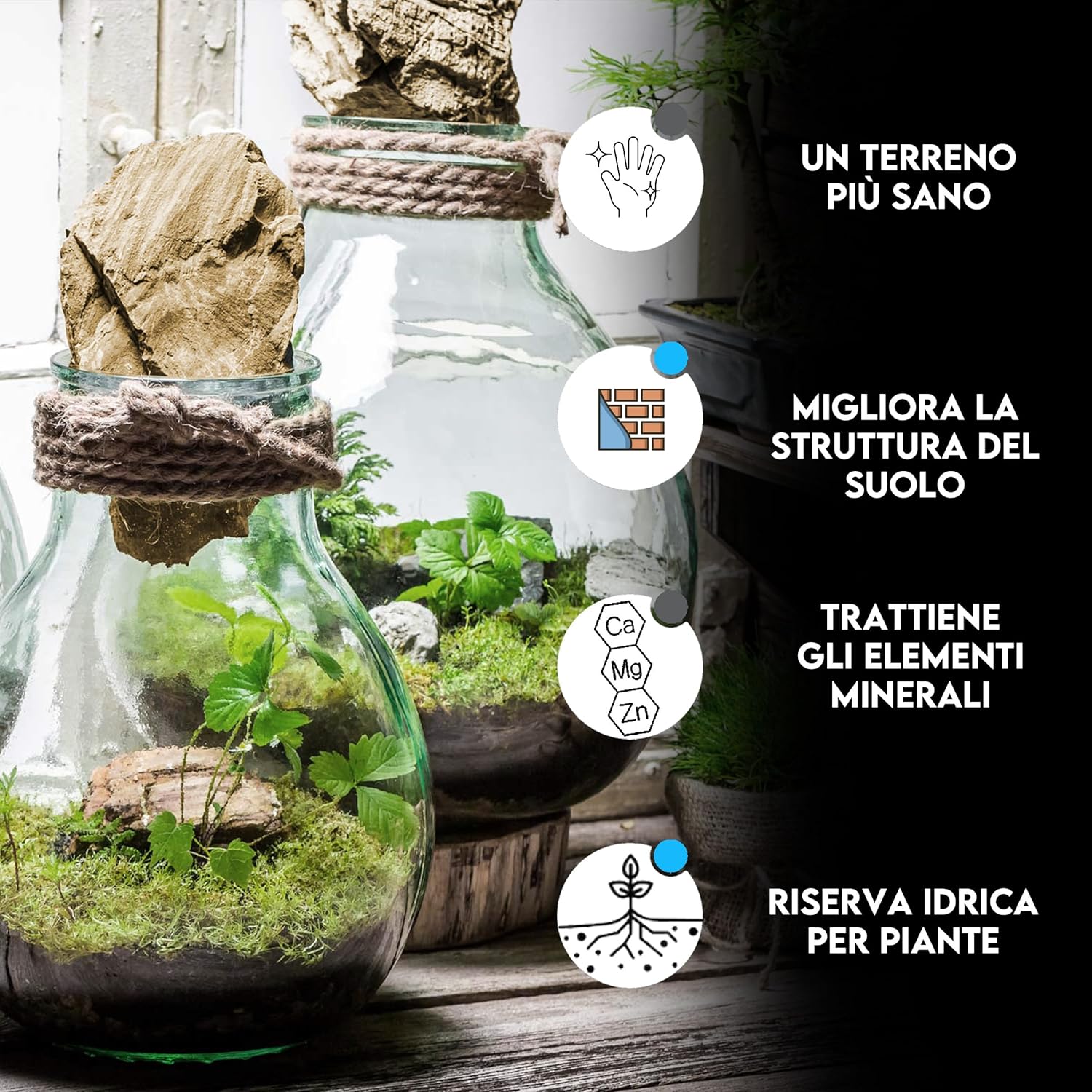 ZomaGARDEN - Carbone Vegetale Attivo per Piante 6L - immagine 2