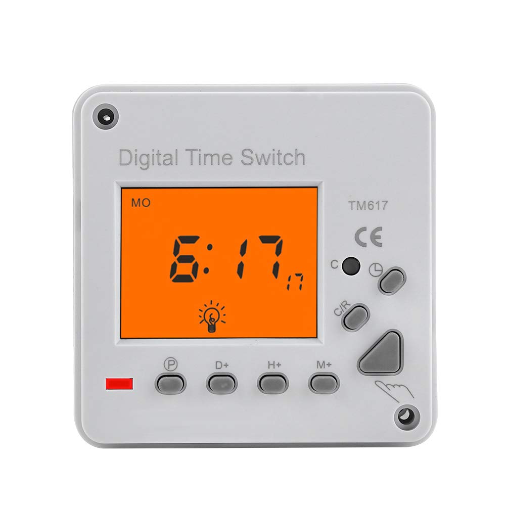 Interruttore Timer Digitale Programmabile 220V