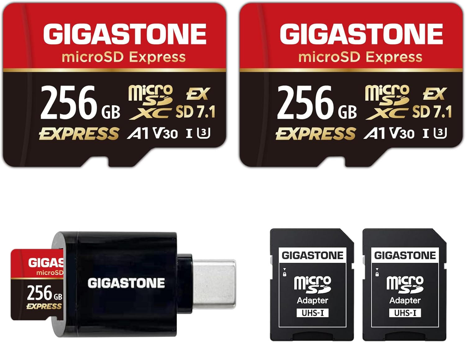 Gigastone microSDXC Express 256 GB (Set 2) - immagine 1