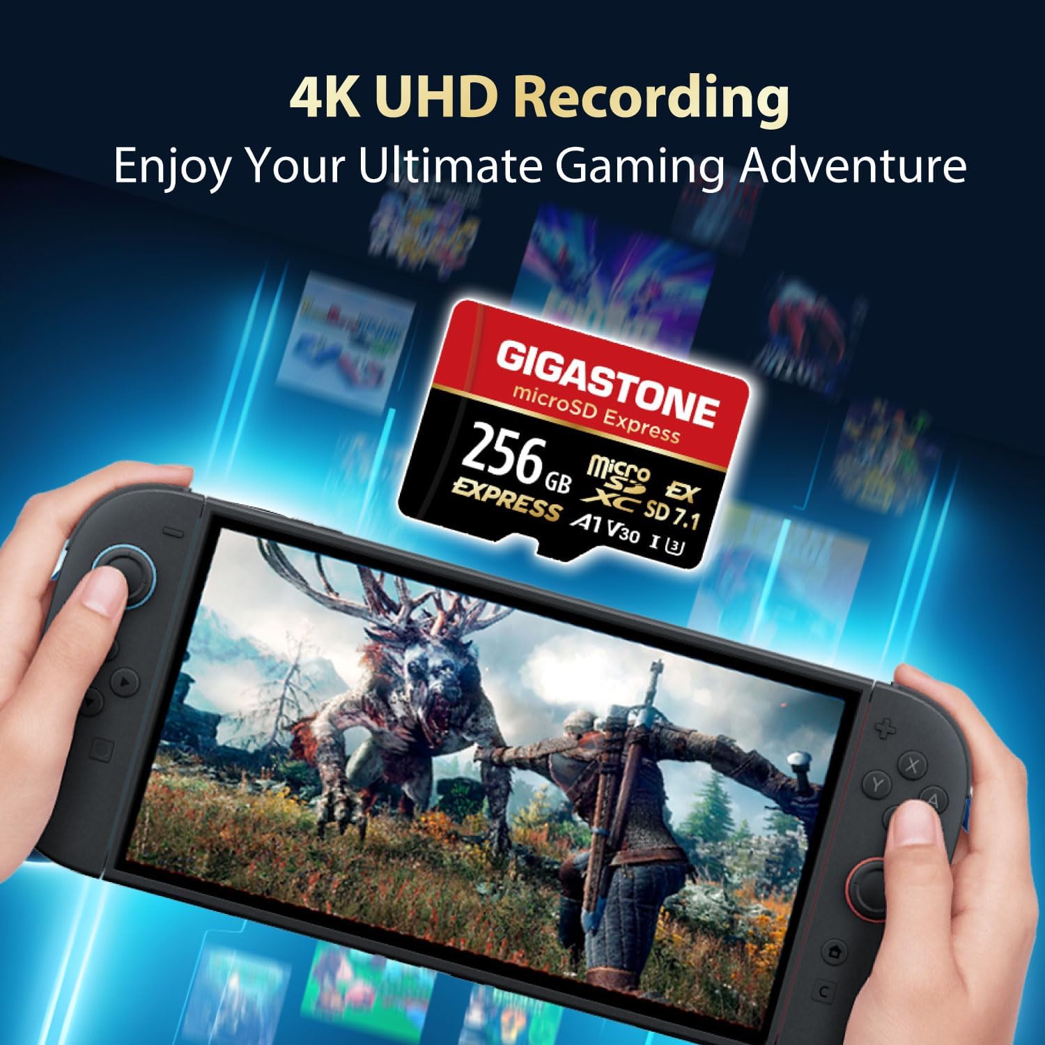 Gigastone microSDXC Express 256 GB (Set 2) - immagine 4