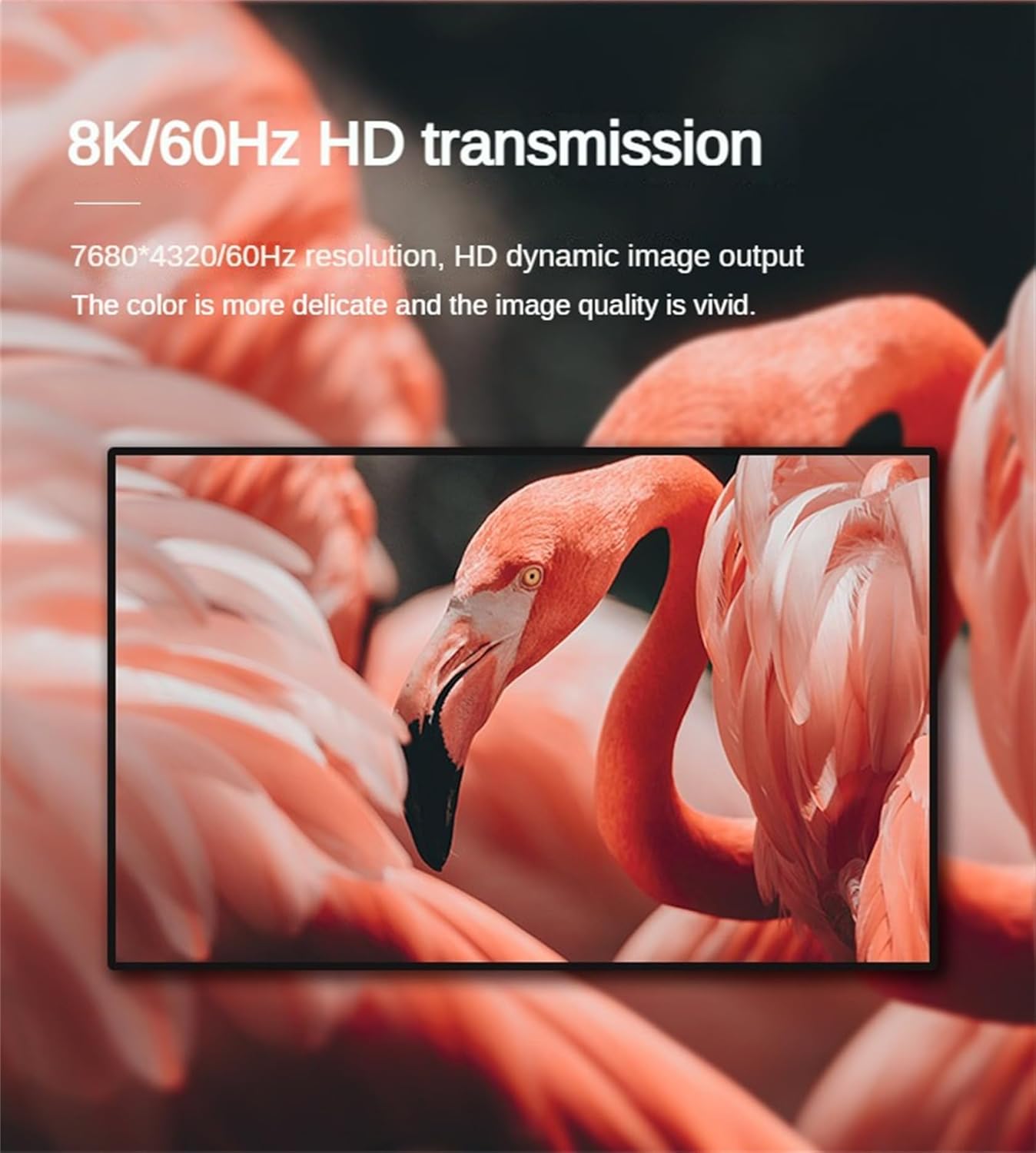 Splitter HDMI 1x10 8K 60HZ - immagine 9