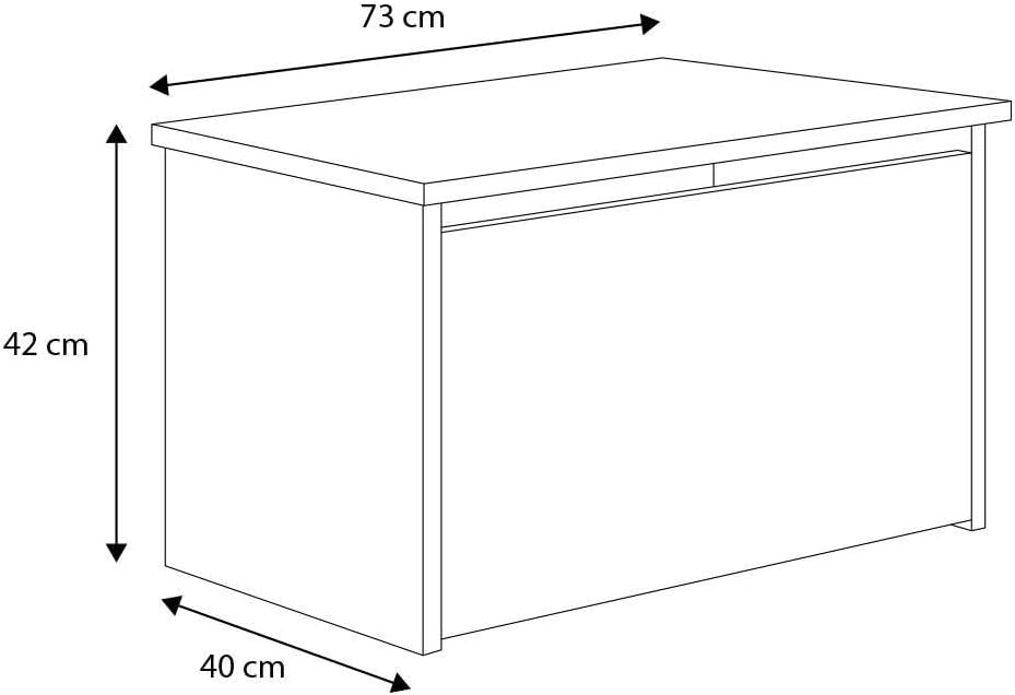 Dmora Baule Bialystok - Contenitore Multiuso, Bianco - immagine 3