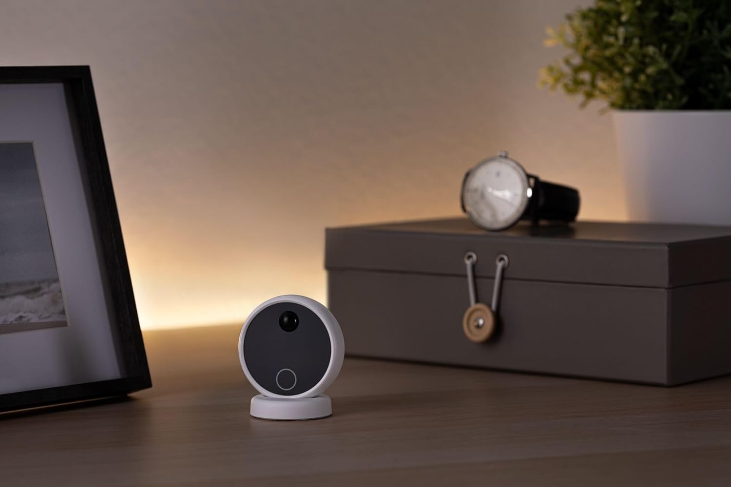 Paulmann 71226 MaxLED DC 24 V Max. 144 W, Bianco, Nero - immagine 13