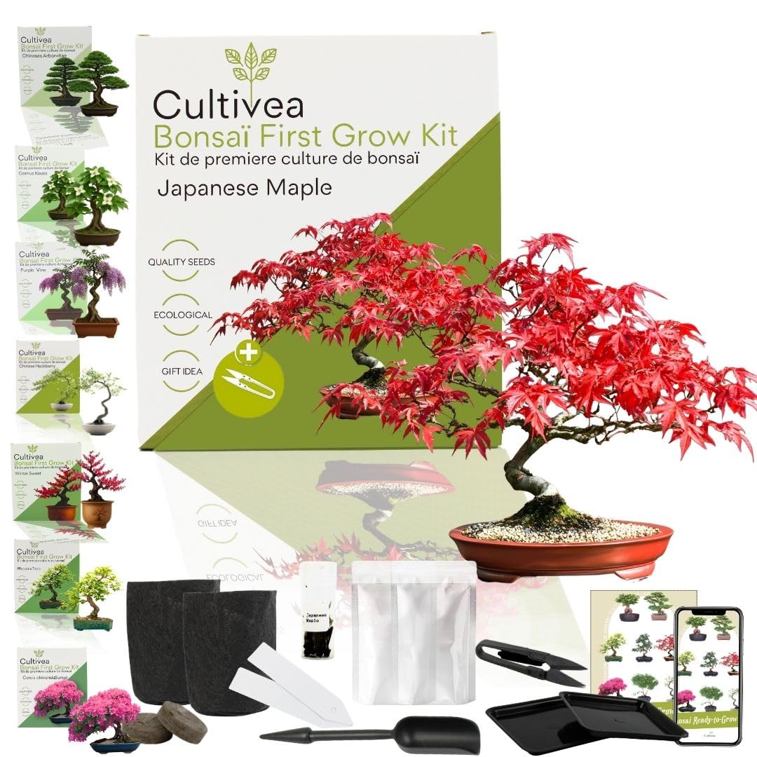 Cultivea Kit First Bonsai - Completo con Semi e Guida