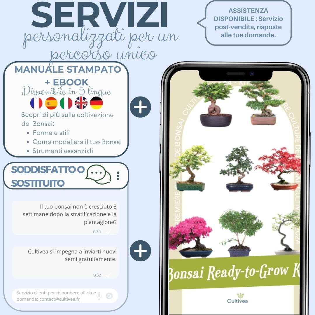 Cultivea Kit First Bonsai - Completo con Semi e Guida - immagine 4