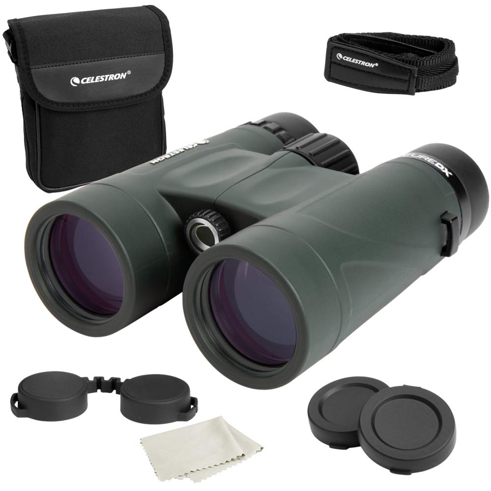 Celestron 71332 - Binocolo Nature DX 8x42mm (Verde)