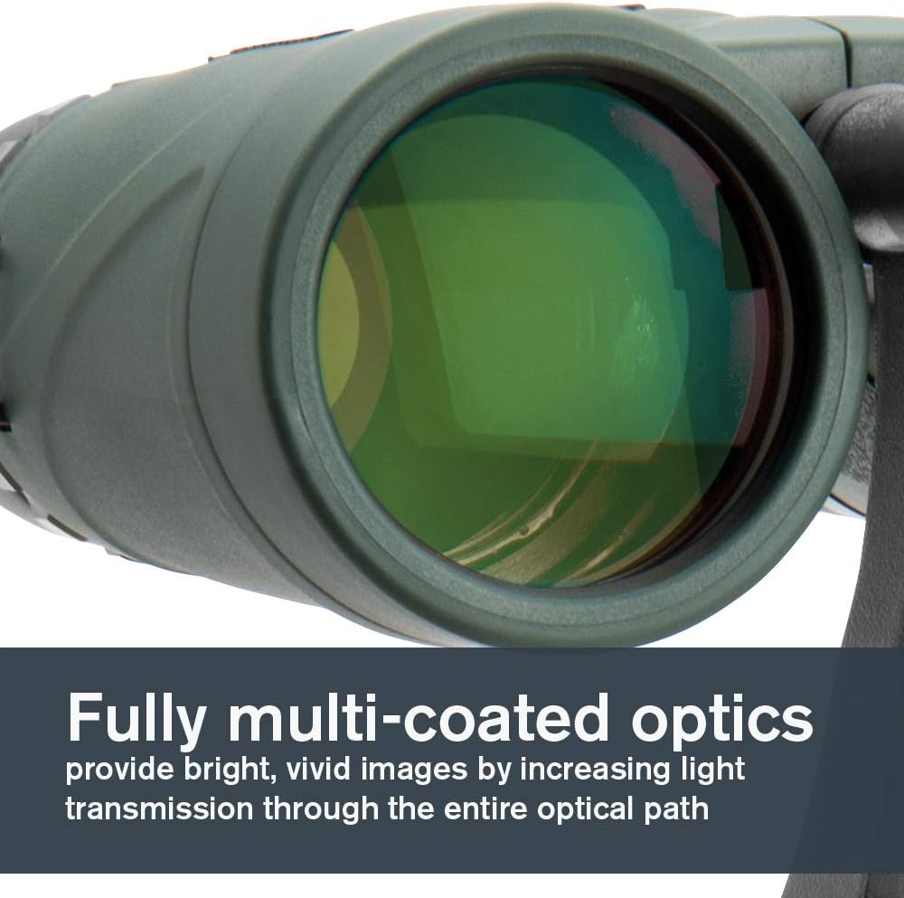 Celestron 71332 - Binocolo Nature DX 8x42mm (Verde) - immagine 3