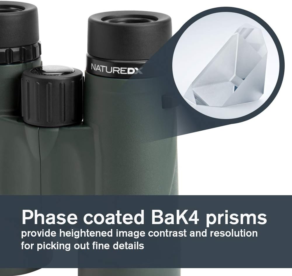 Celestron 71332 - Binocolo Nature DX 8x42mm (Verde) - immagine 4