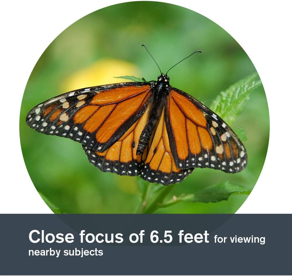 Celestron 71332 - Binocolo Nature DX 8x42mm (Verde) - immagine 7