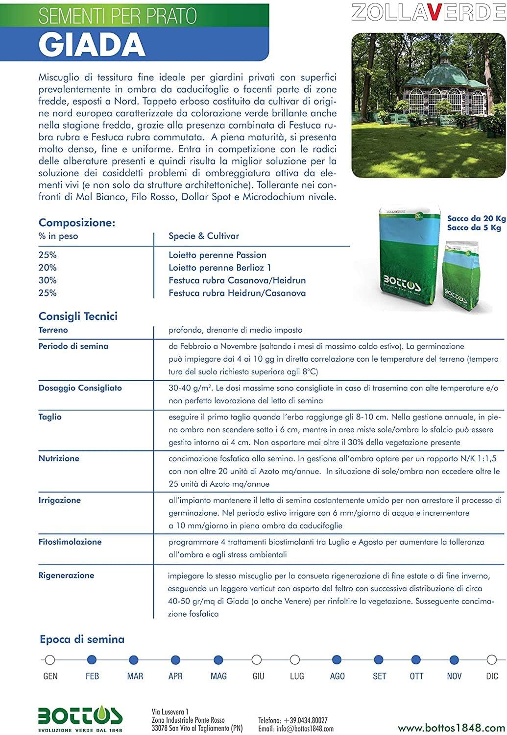 Bottos GIADA - Sementi Tappeto Erboso 1Kg (40mq) - immagine 3