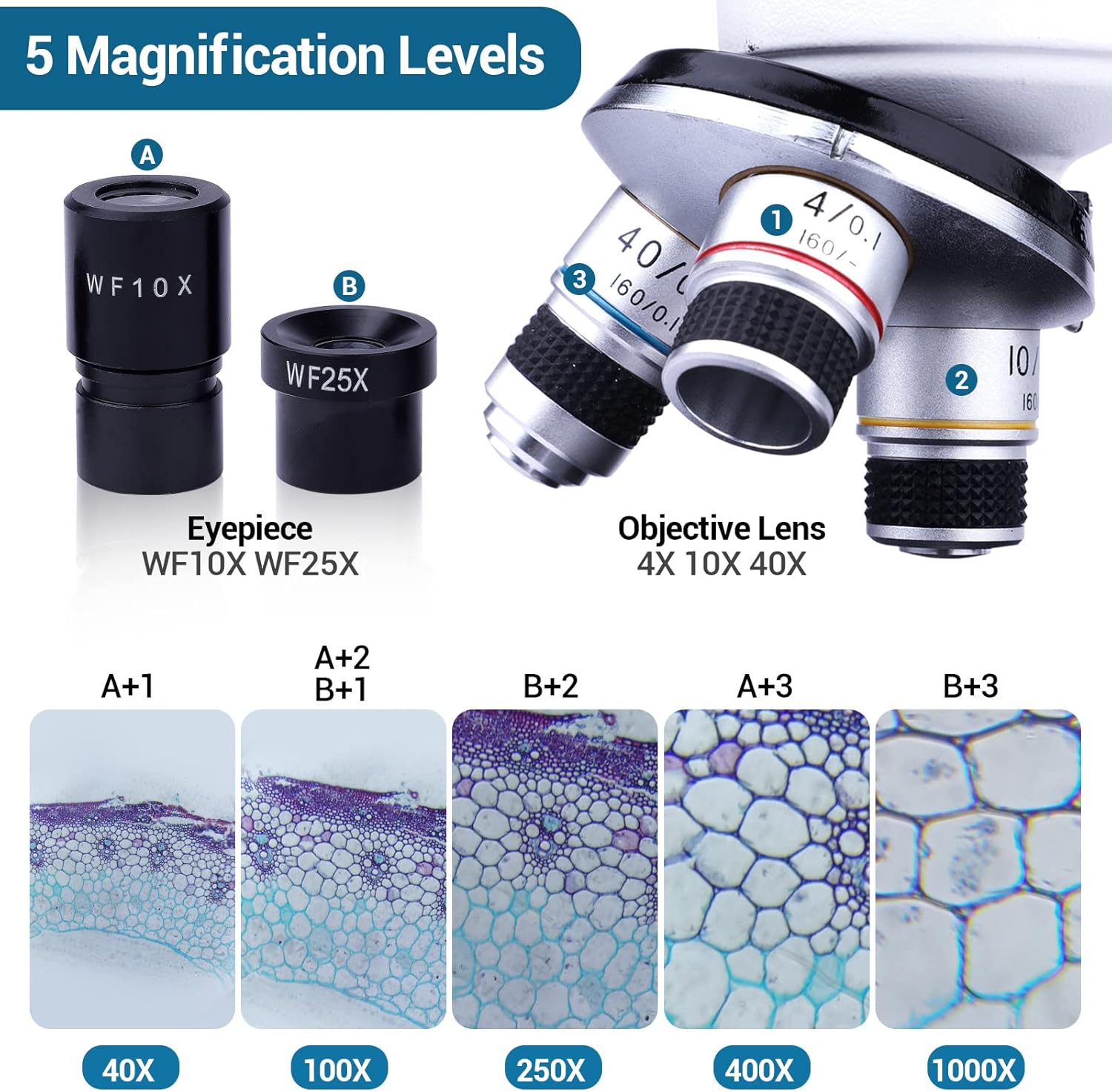 Microscopio Binoculare Composto 40X-1000X - immagine 3