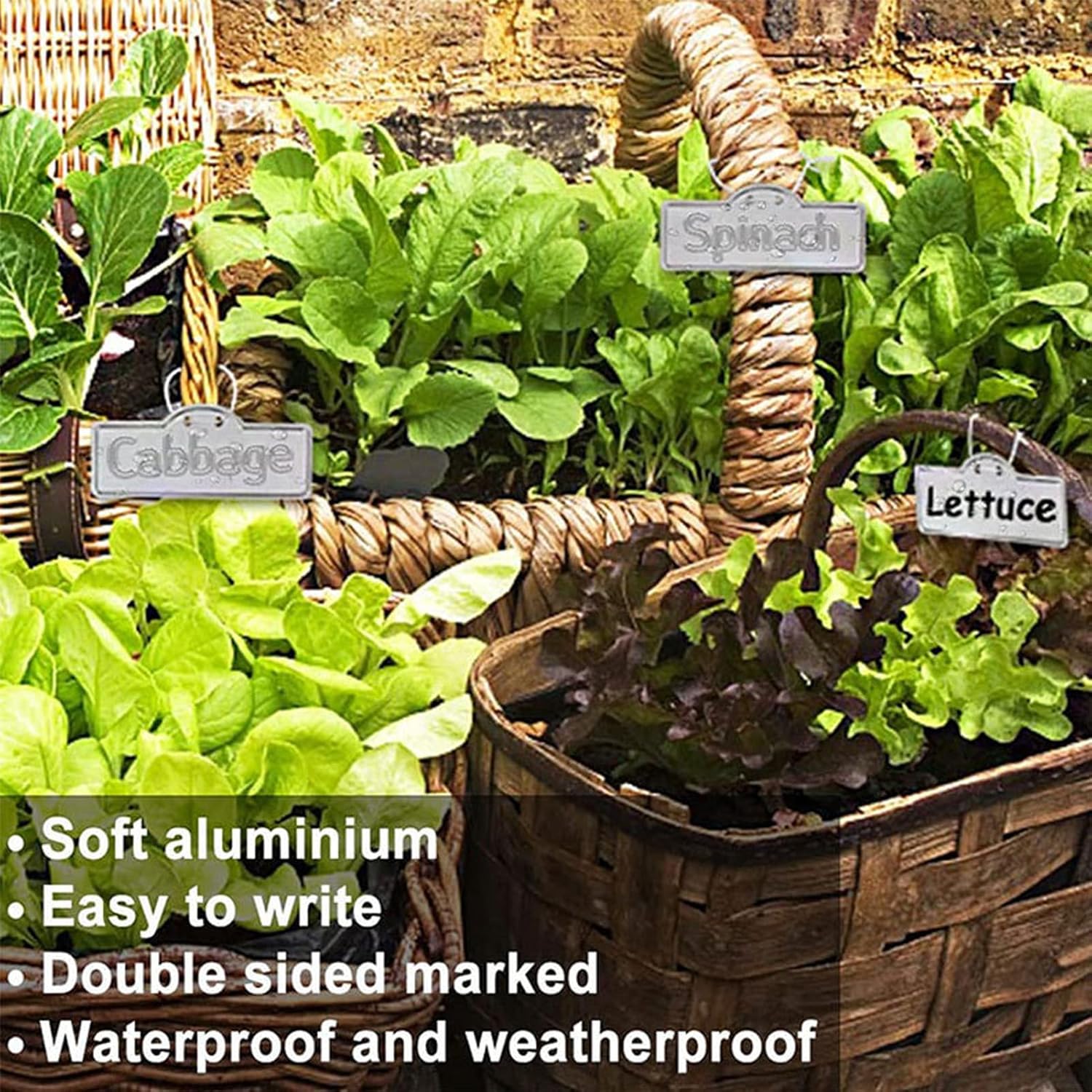 Topiky Etichette per Piante in Alluminio - immagine 2