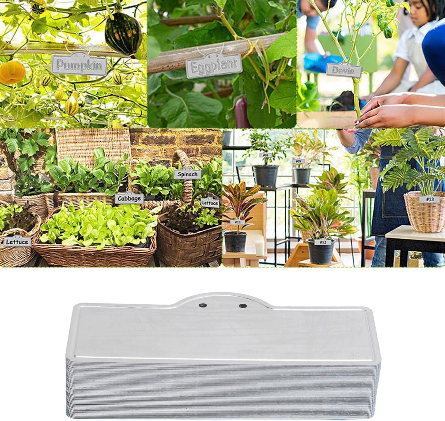 Topiky Etichette per Piante in Alluminio - immagine 8