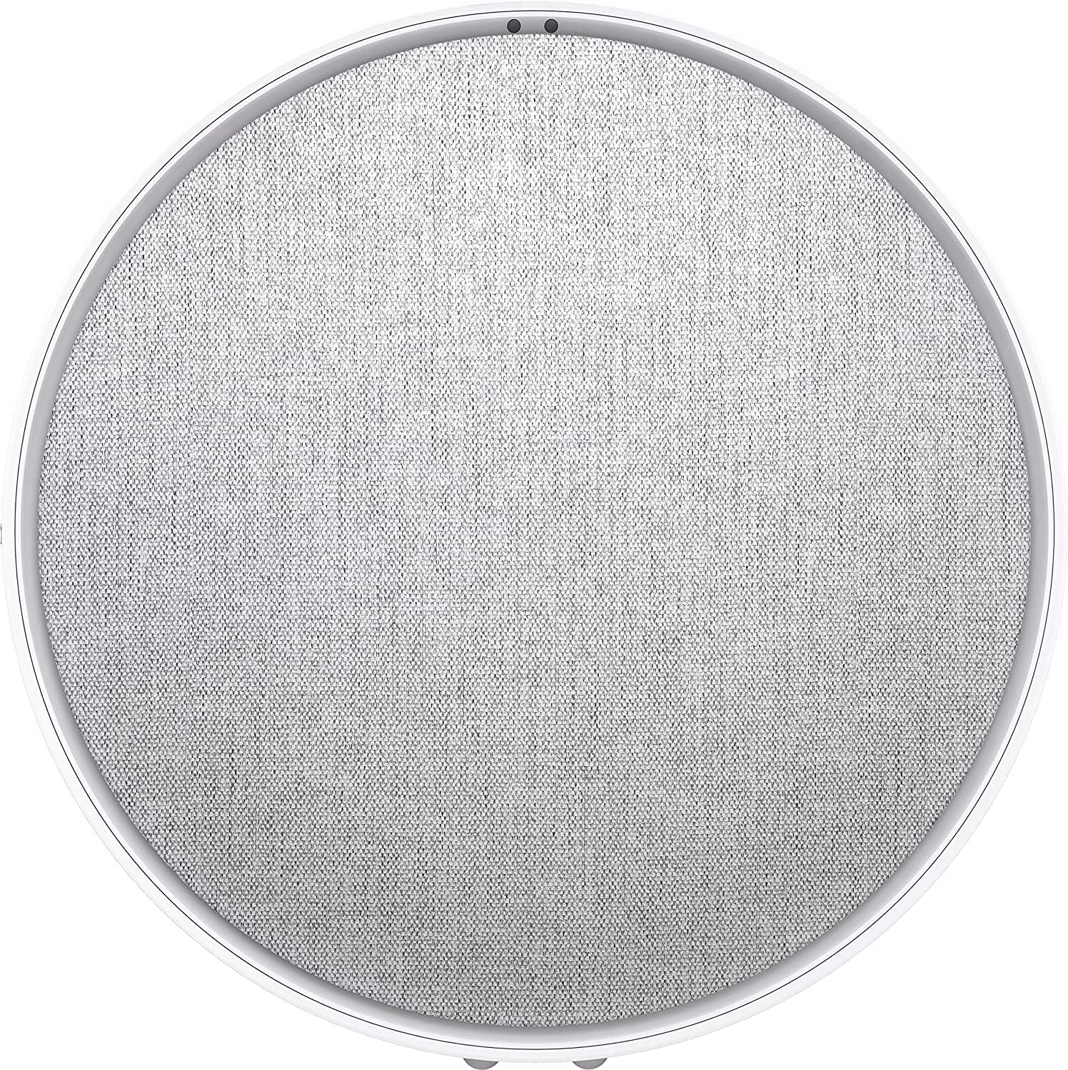 Defunc Home Smart Multiroom Speaker Grande 100W - immagine 1