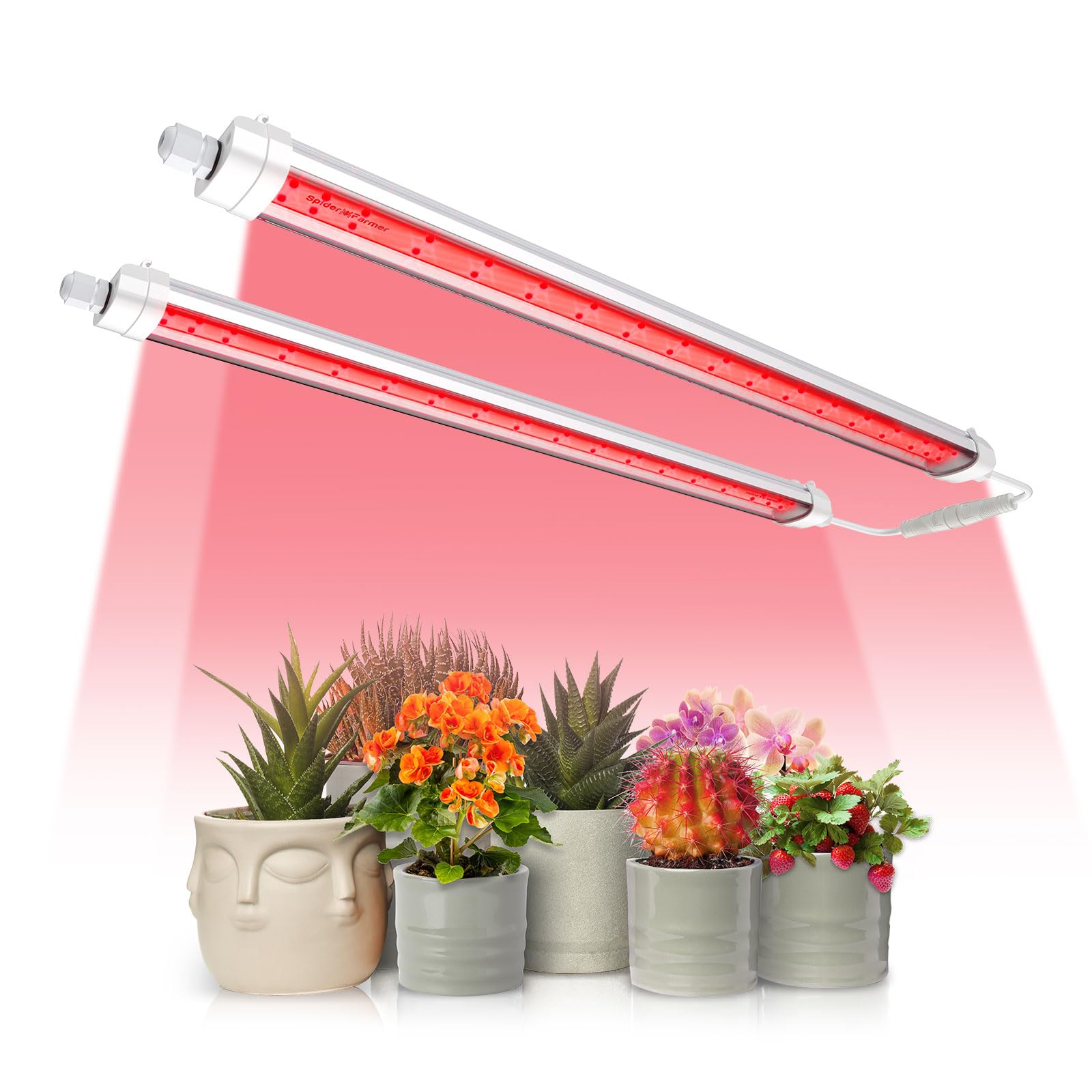 SF-GlowR40 - 2ft LED Crescita Piante 2 Pezzi 40W