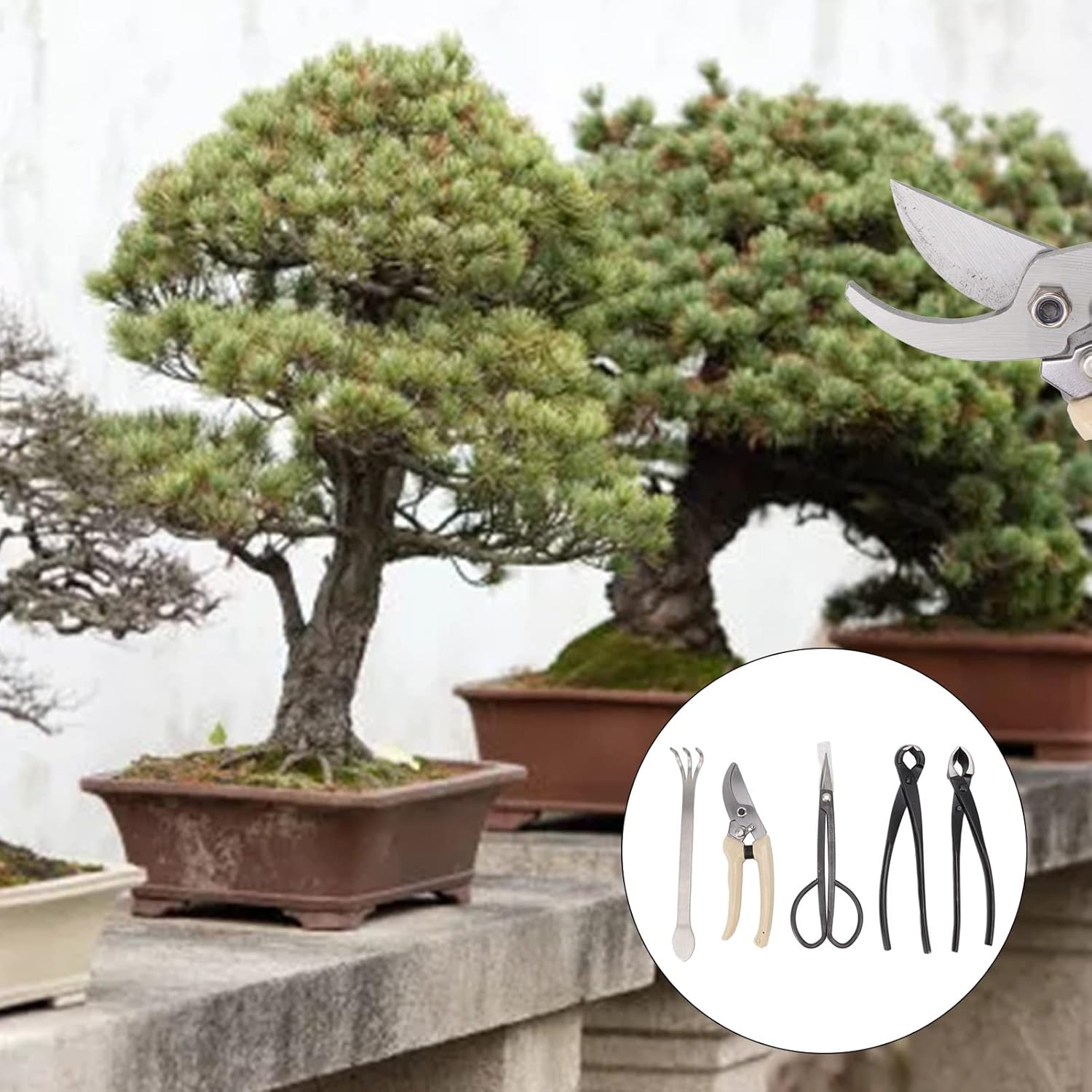 5PCS Kit Strumenti per Bonsai e Potatura - immagine 2