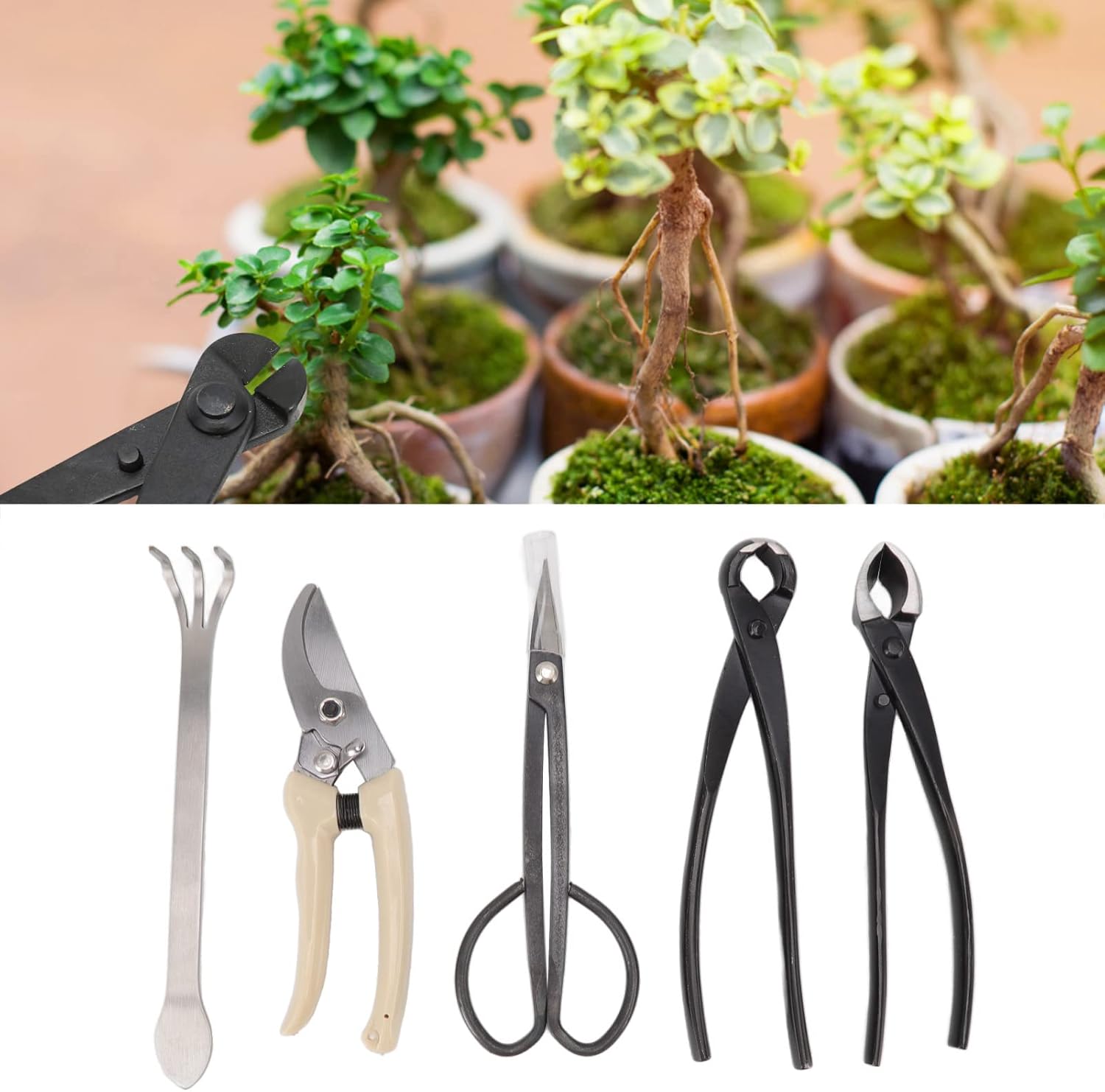 5PCS Kit Strumenti per Bonsai e Potatura - immagine 3