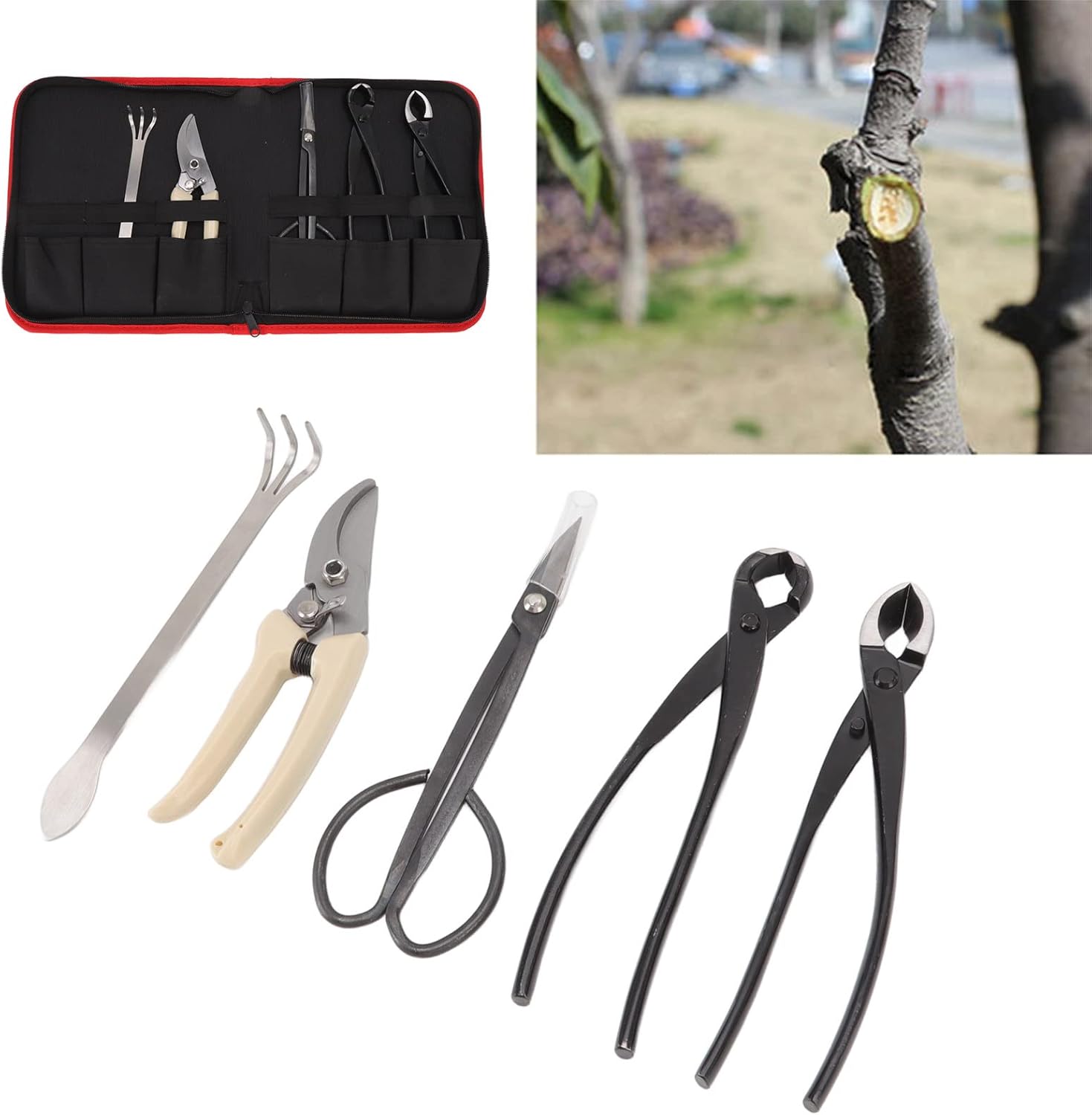 5PCS Kit Strumenti per Bonsai e Potatura - immagine 5