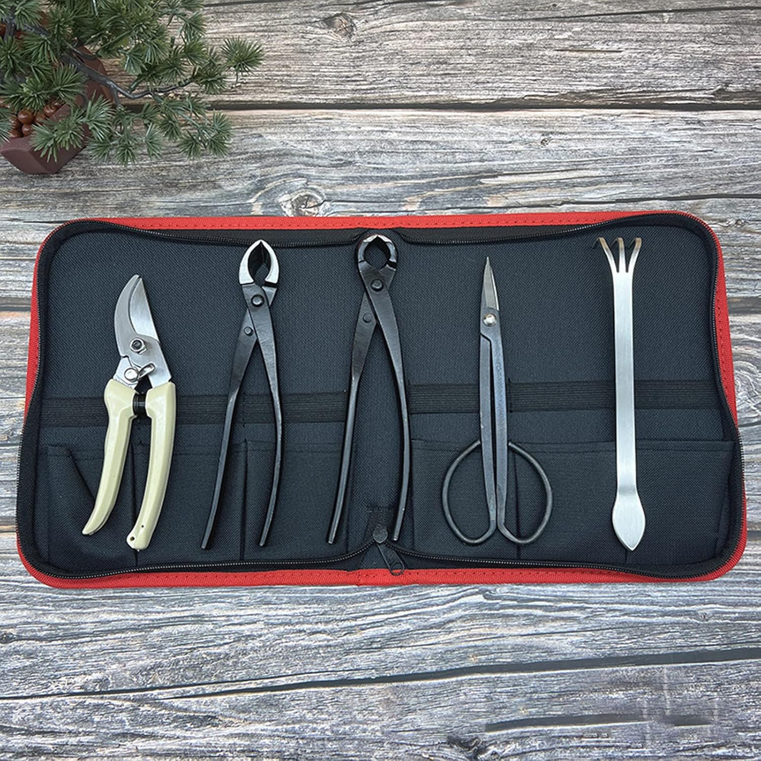 5PCS Kit Strumenti per Bonsai e Potatura - immagine 6
