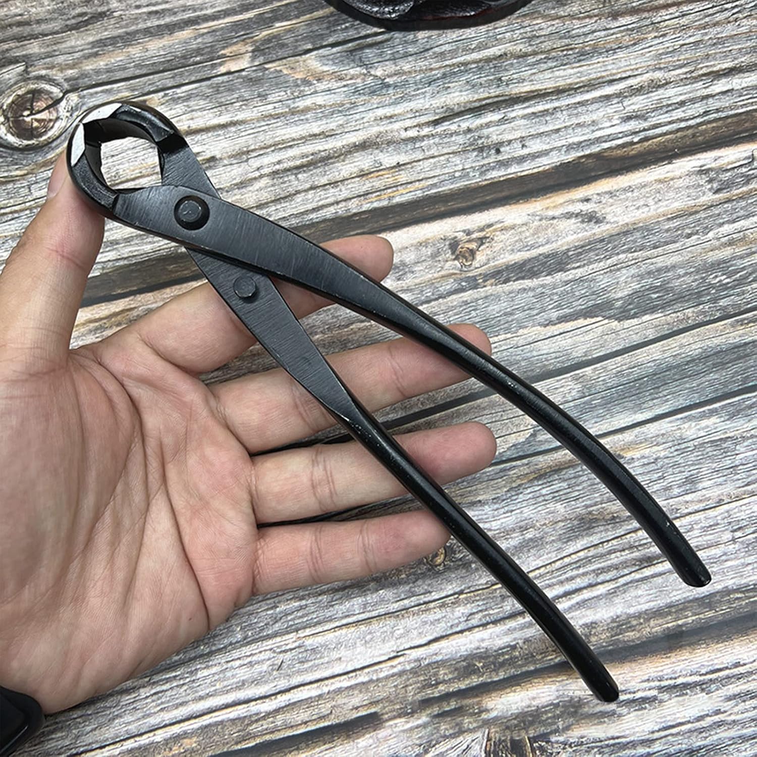 5PCS Kit Strumenti per Bonsai e Potatura - immagine 8