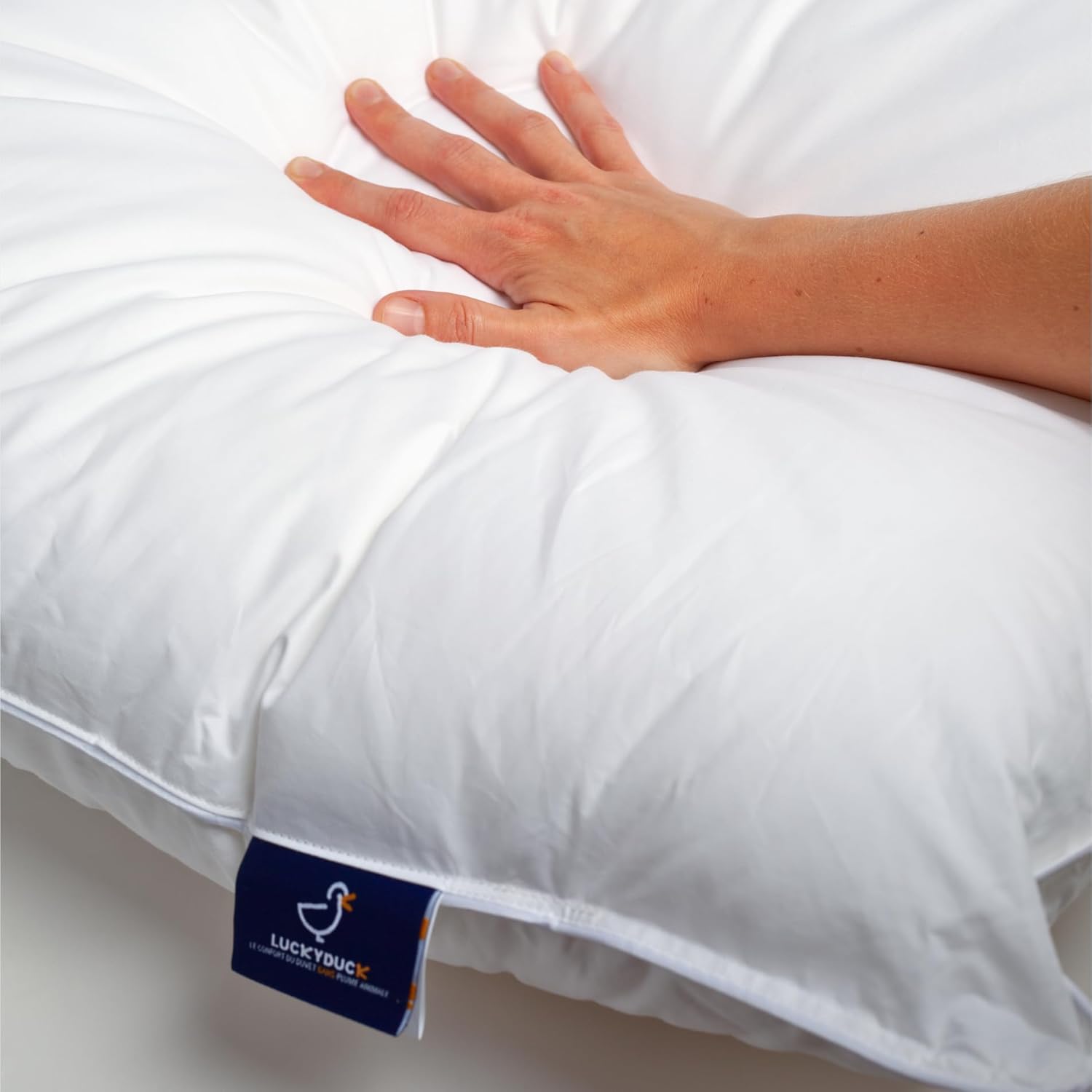 Lucky Duck - Set 2 Cuscini 65x65 in Microfibra - immagine 7