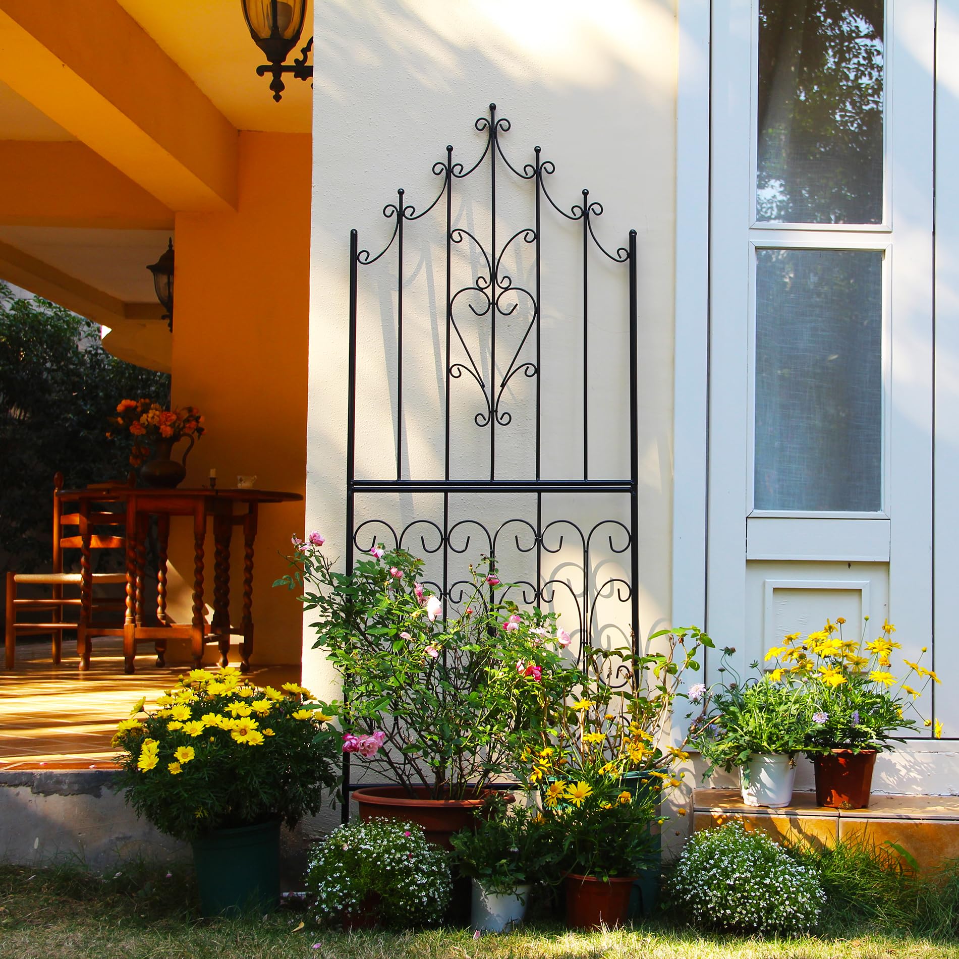 SCENDOR Traliccio da Giardino per Piante Rampicanti