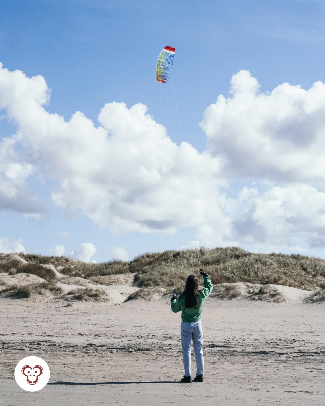 Skymonkey Airtwister Aquilone da Trazione Ready 2 Fly - immagine 3