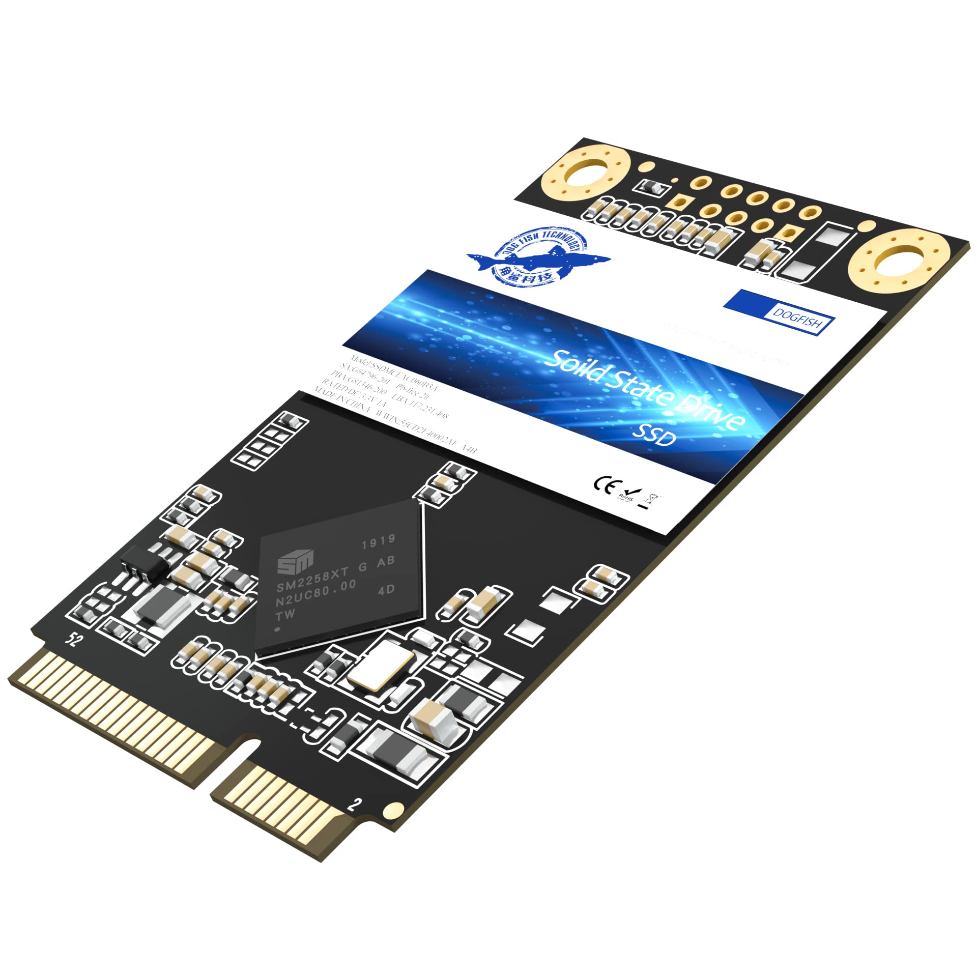 Dogfish SSD 480GB mSATA Interno MLC